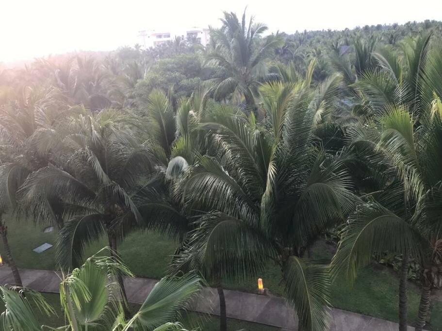 Apartament Acapulco Amplio Depto 3Bd En Residencial La Isla Torre Hawaii Zewnętrze zdjęcie